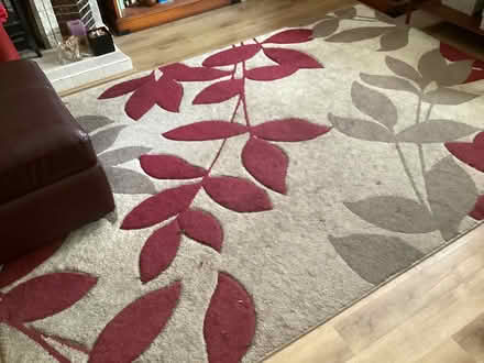 Photo of free Carpet(s) (Tilbury RM18) #2