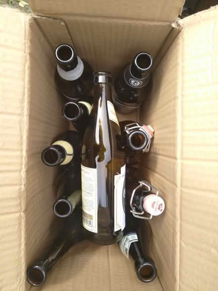 Photo of free Home brew beer bottles (Bedlam, SY8) #2