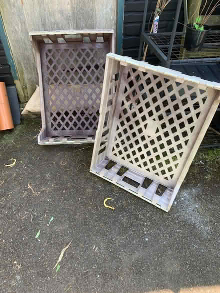 Photo of free Plastic bread basket trays (Batch Farm BA3) #1