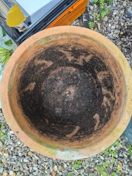 Photo of free Large terracotta pot (West Harrow) #2