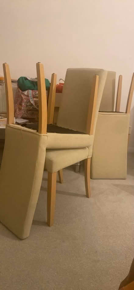Photo of free 6 M&S dining chairs (Crayford) #1