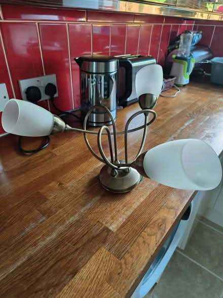 Photo of free Ceiling light fixture (Mereworth ME18) #1