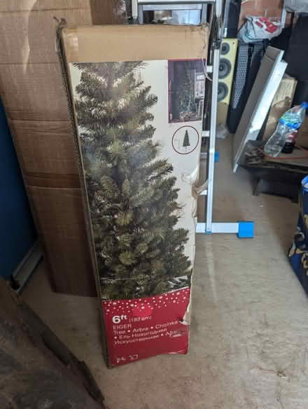 Photo of free Christmas tree (CV6) #1