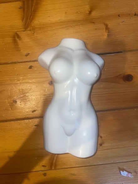 Photo of free vase (Lee SE12) #1