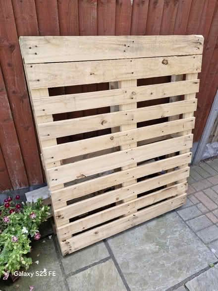 Photo of free New pallet (DE14) #1
