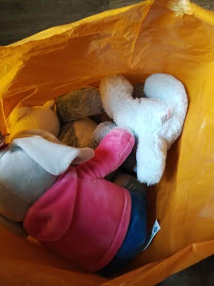 Photo of free 6 soft toys (CM8 Silver End) #1