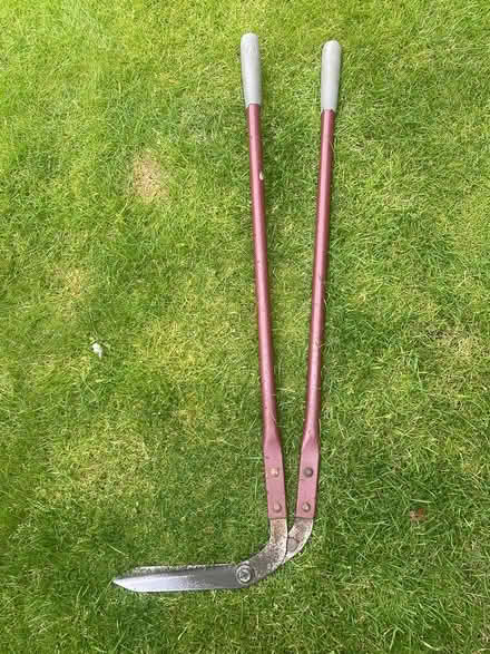 Photo of free Edging shears (Hitchin) #1