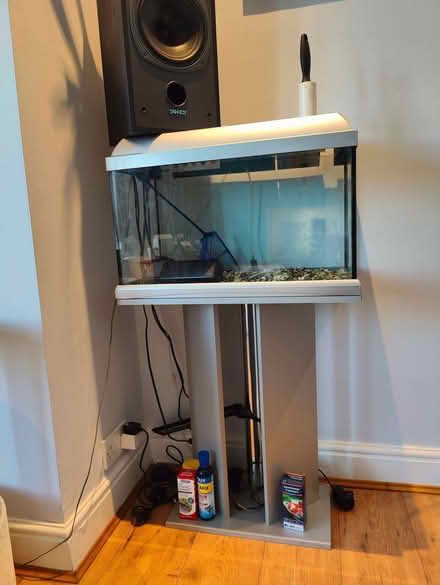 Photo of free 65 litre fish tank w/ stand, filter and pump (Riddlesden BD20) #2