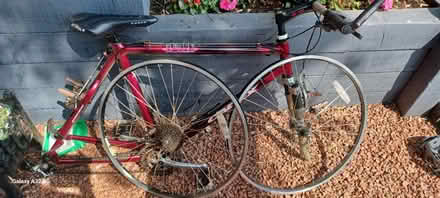 Photo of free Adult bike frame (DE56 neather heage) #2