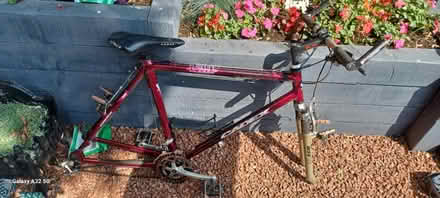Photo of free Adult bike frame (DE56 neather heage) #1