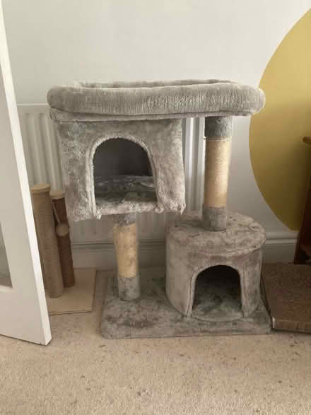 Photo of free Cat tower (Portslade) #1