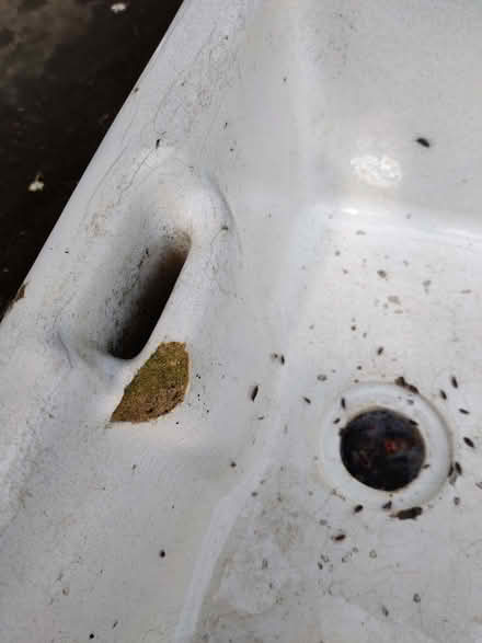 Photo of free Belfast sink (from garden) (Chesham HP5) #4
