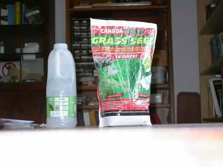 Photo of free 500gm Canada Grass seed (Upper Wolvercote OX2) #1