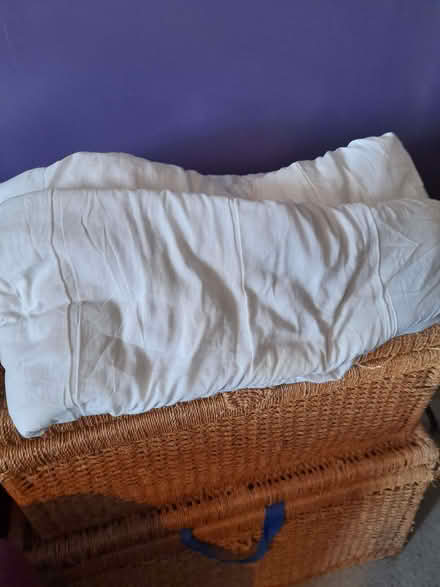 Photo of free Single quilt for pets. (Otford TN14) #1