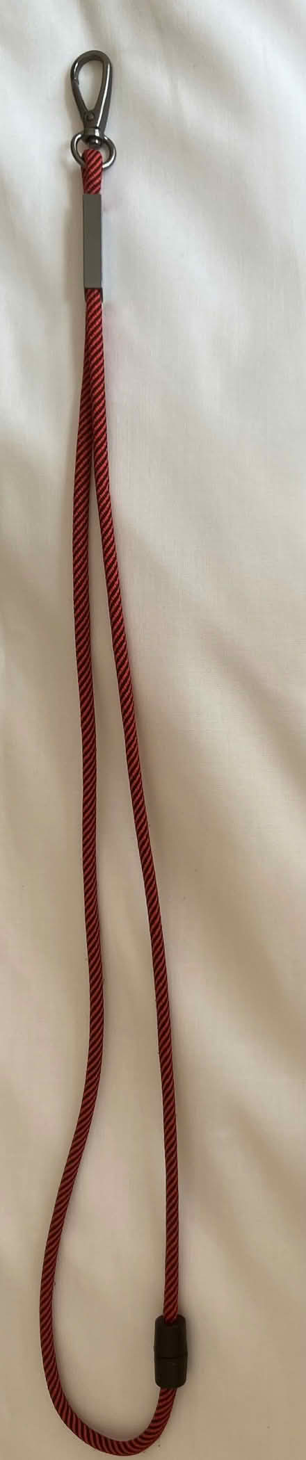 Photo of free lanyards (Carlisle CA2) #1
