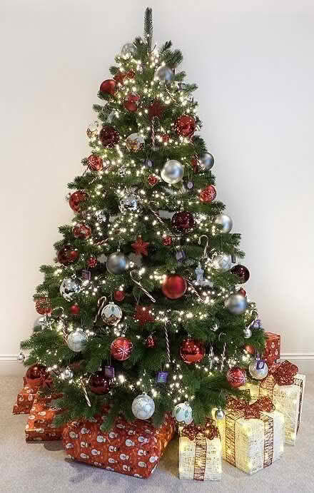 Photo of christmas trees or Christmas decorations (AB11) #1