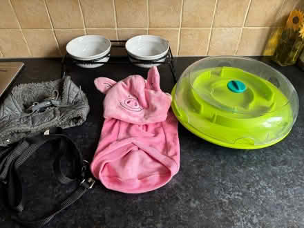 Photo of free Dogs items (Great Moor SK3) #1