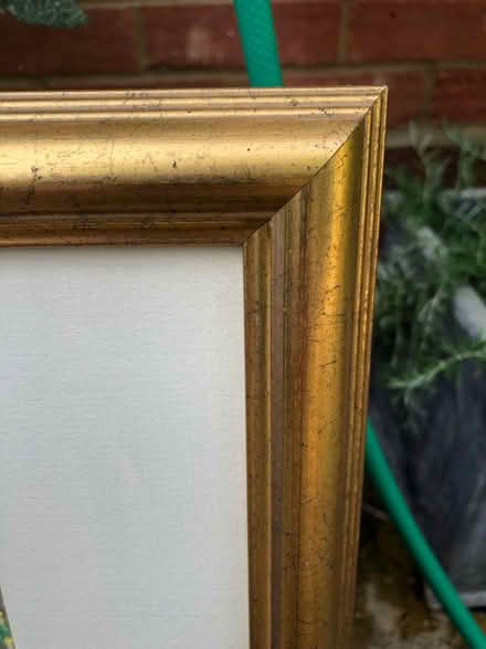 Photo of free Picture in gold wooden frame (SG4 Hitchin) #2