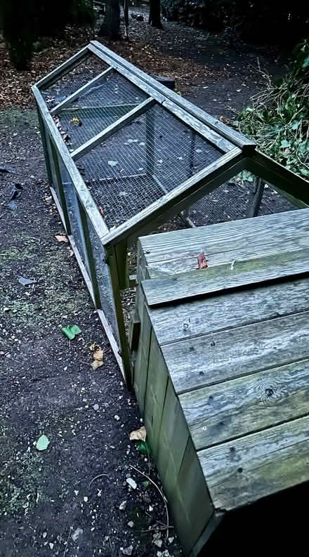 Photo of free Chicken run and nest box (Holbeach St Marks PE12) #2