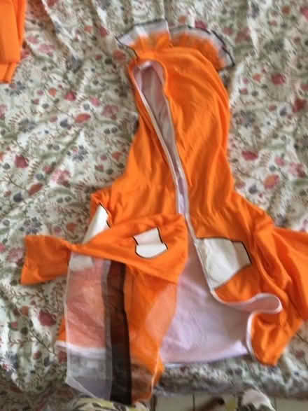Photo of free Nemo / Clown fish costume (Queen's Park BN2) #2
