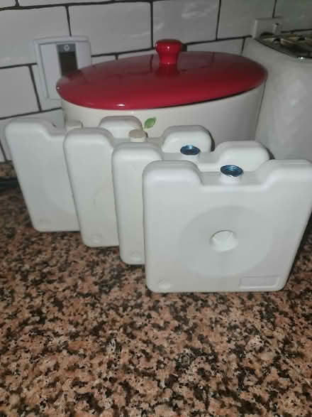 Photo of free Ice blocks (Selsdon) #1