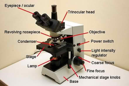 Photo of Fine focus microscope (Southend, SS0) #1