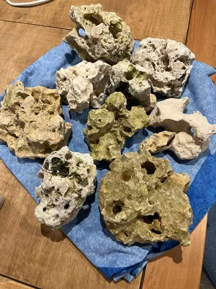 Photo of free Box of rocks for fish tank (PO13 Lee on solent) #1