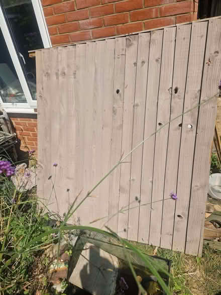 Photo of free 6ft x 6ft fence panel (Earley RG6) #2