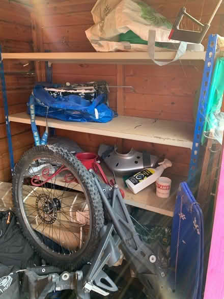 Photo of free Shed 15 Yh old with shelves (Worcester Park KT4) #1