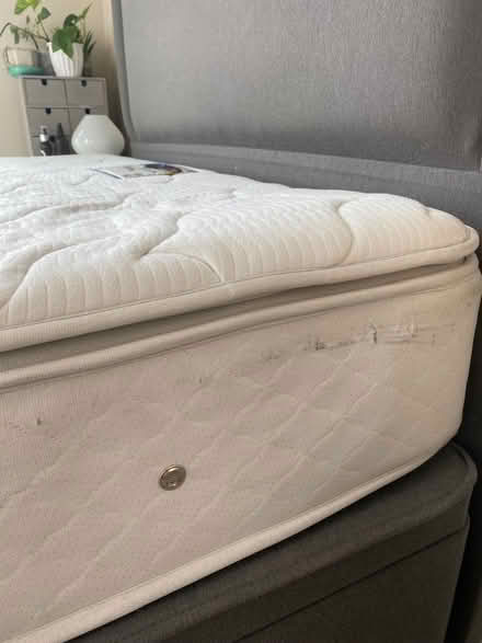 Photo of free King size Mattress: Sleepeezee Memory Comfort 1000 (Hove Station area BN3) #4