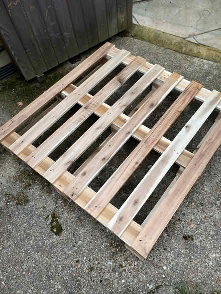 Photo of free New wooden pallet (W5 Ealing) #2