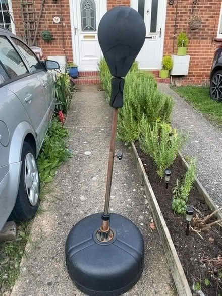 Photo of free Punch ball (Hertford Heath SG13) #1