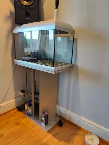 Photo of free 65 litre fish tank w/ stand, filter and pump (Riddlesden BD20) #3