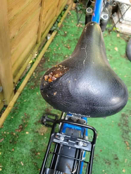 Photo of free Bicycle (Welwyn Garden City AL7) #2