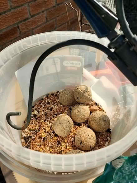 Photo of free Bird Feeders, Station and food. (Talbot Village BH11) #3