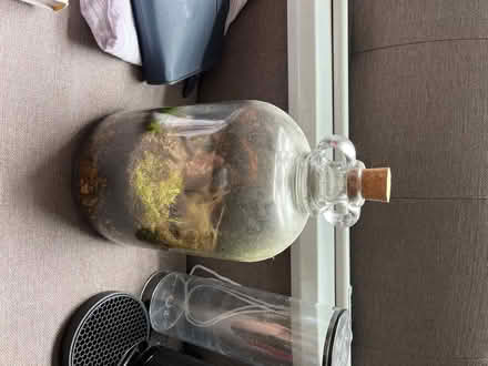 Photo of free Demi john bottle (Holloway Road) #1