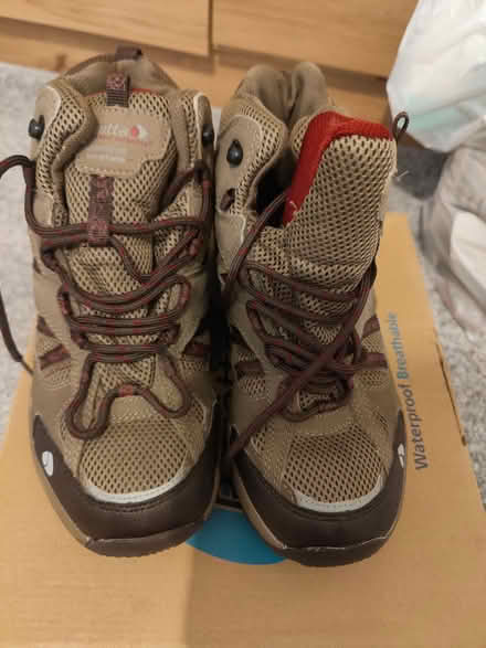 Photo of free Regatta shoes (Kelham Island S3) #4