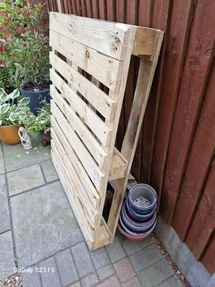Photo of free New pallet (DE14) #2