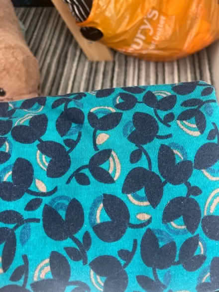 Photo of free fabric (Hollingdean) #4