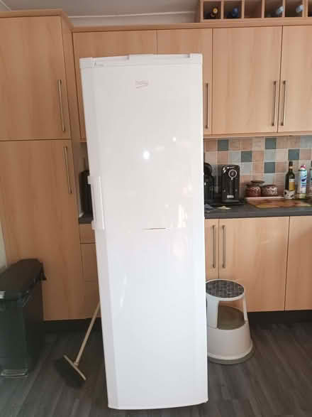 Photo of free Beko tall larder fridge (Hayling Island PO11) #3