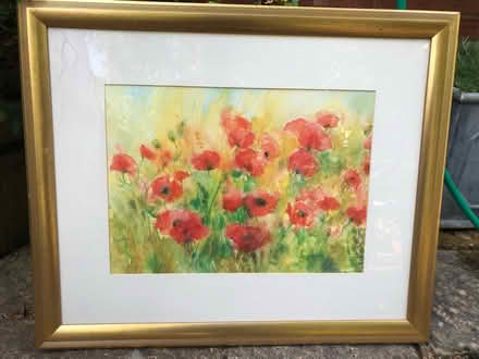 Photo of free Poppy picture in gold wooden frame (SG4 Hitchin) #1