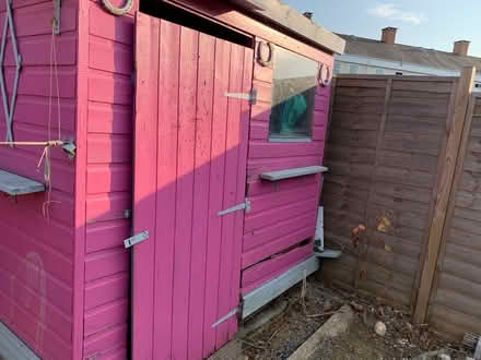 Photo of free Shed 15 Yh old with shelves (Worcester Park KT4) #4