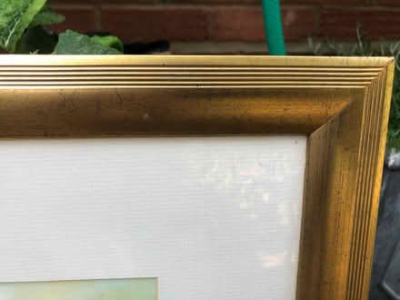 Photo of free Poppy picture in gold wooden frame (SG4 Hitchin) #3