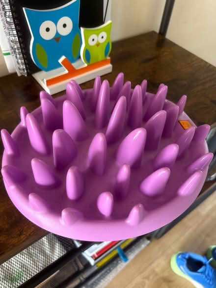 Photo of free Cat feeder toy (Ealing W5) #1