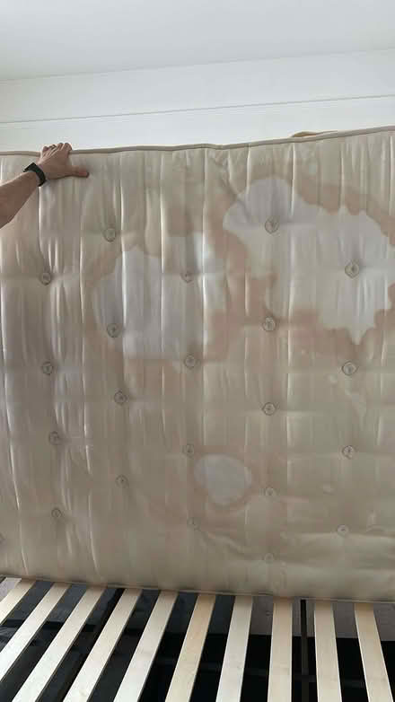 Photo of free Sleepeezee Baroness king size mattress (IP1) #2
