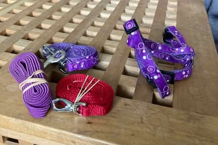 Photo of free Cat equipment (Chelmsford CM2) #2