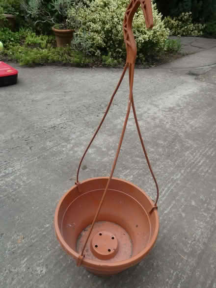 Photo of free Hanging basket (Lightwater GU18) #1