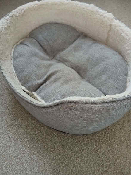 Photo of free Dog / Cat Bed 21 inches by 17 inches (Arlesey SG15) #3