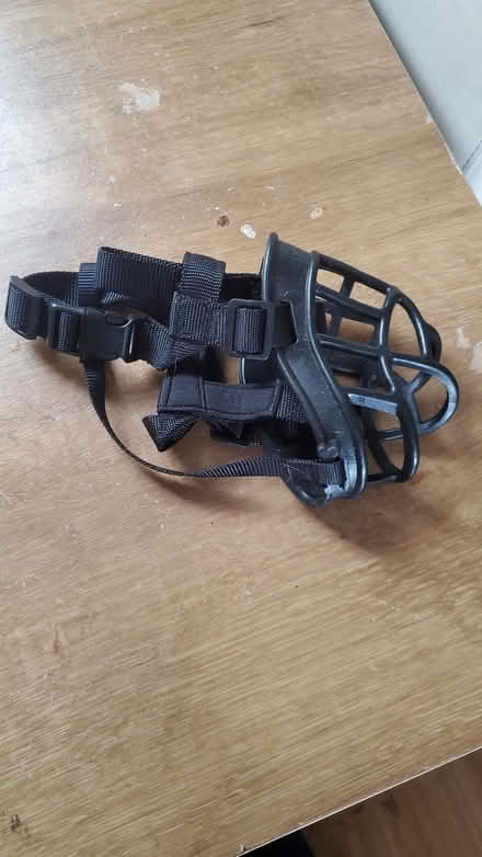 Photo of free Small dog muzzle (Barnton CW8) #1