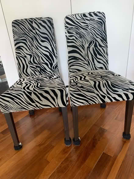 Photo of free Two zebra print dining chairs (Richmond TW10) #1